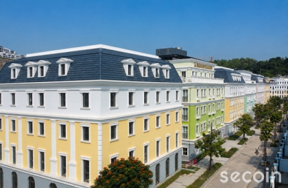 Ngói phẳng Pháp SE-46